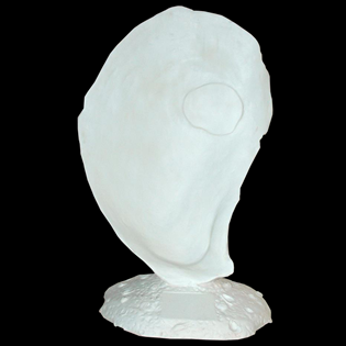 Oyster Primed Fiberglass Sculpture Icon Poly
